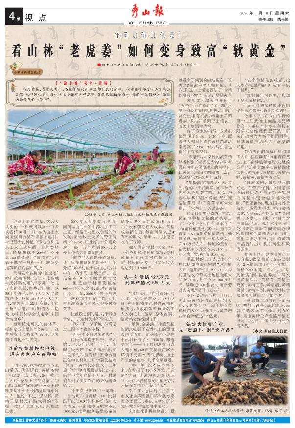 ���߶�������