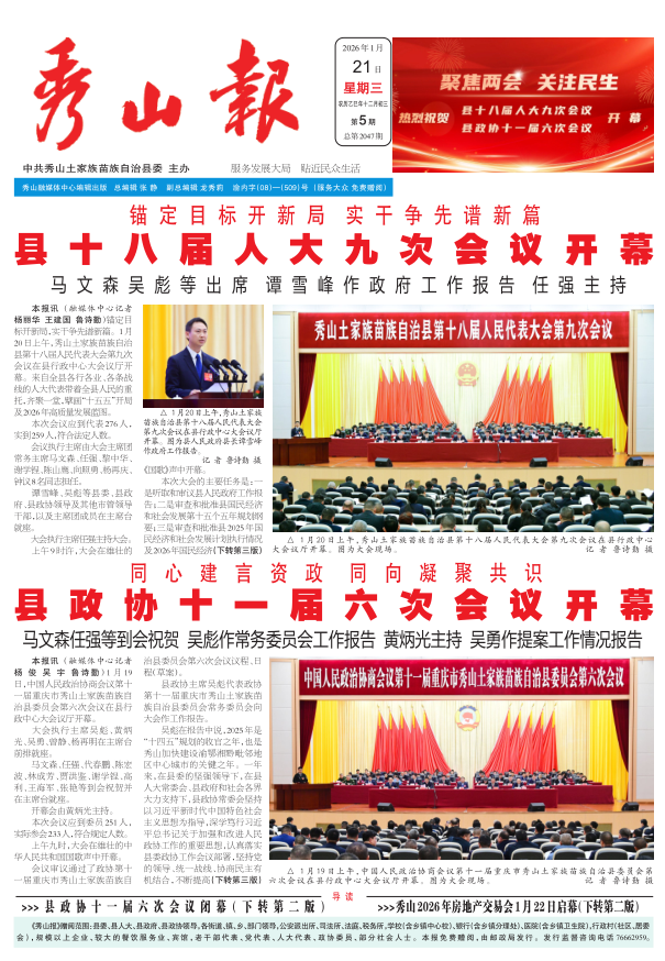 ���߶�������