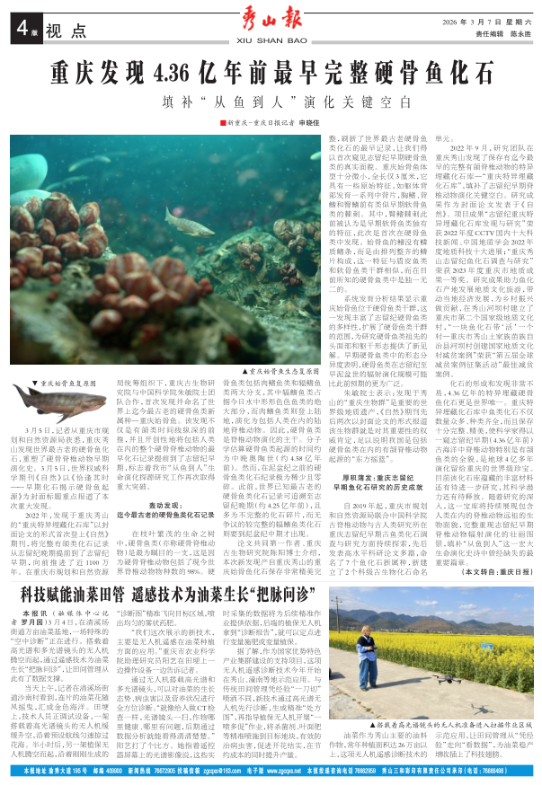 ���߶�������