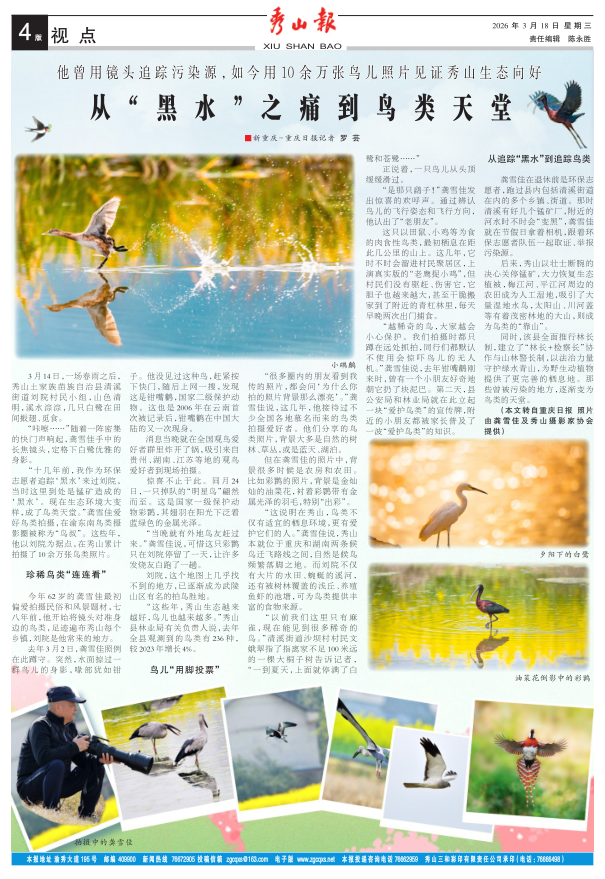 ���߶�������