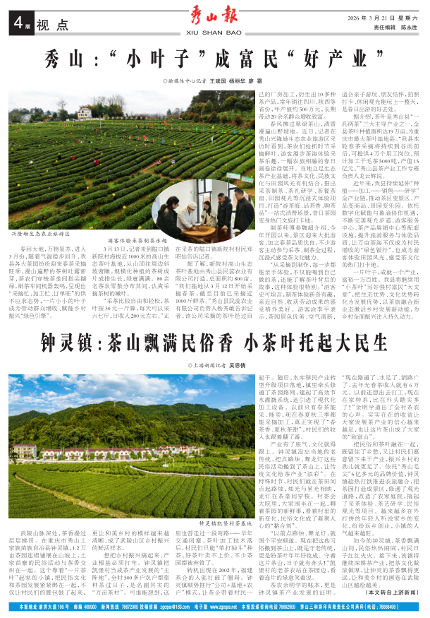 ���߶�������