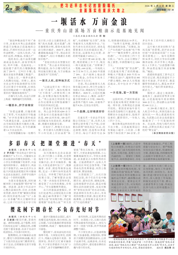 ���߶�������